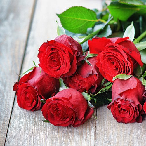 Premium long stem valentines red roses from Lower Hutt florist