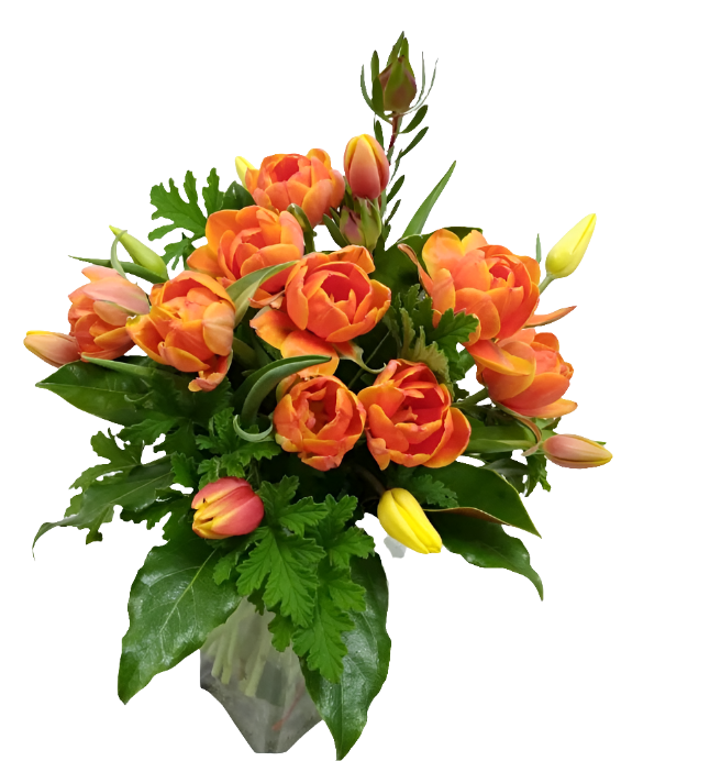 Bunch of Tulips