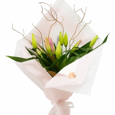 Pink Lilies