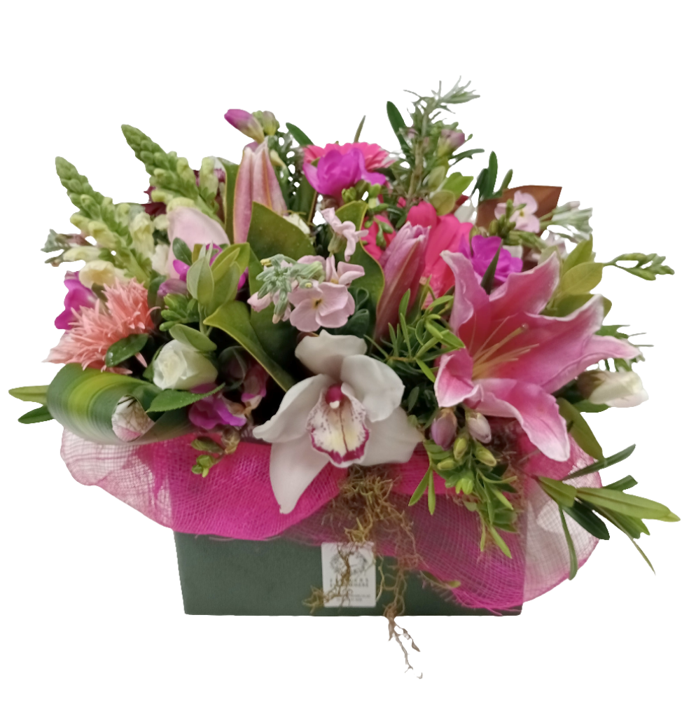 Pretty Pinks