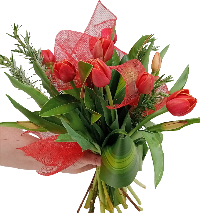 Bunch of Tulips