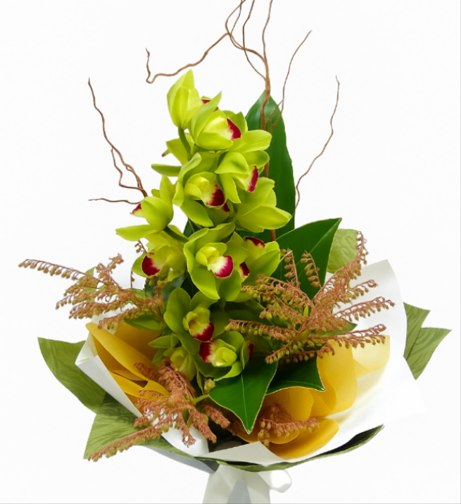 Orchid flower