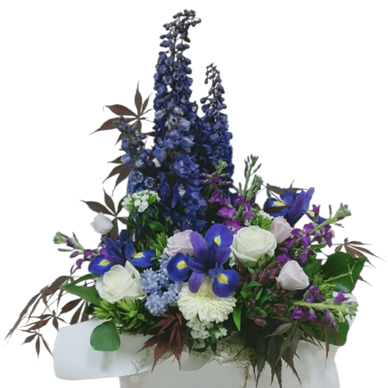 Soothing Mauves