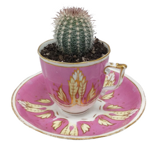 Load image into Gallery viewer, China Potted Cactus
