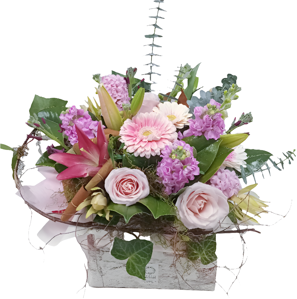 Soft Pinks
