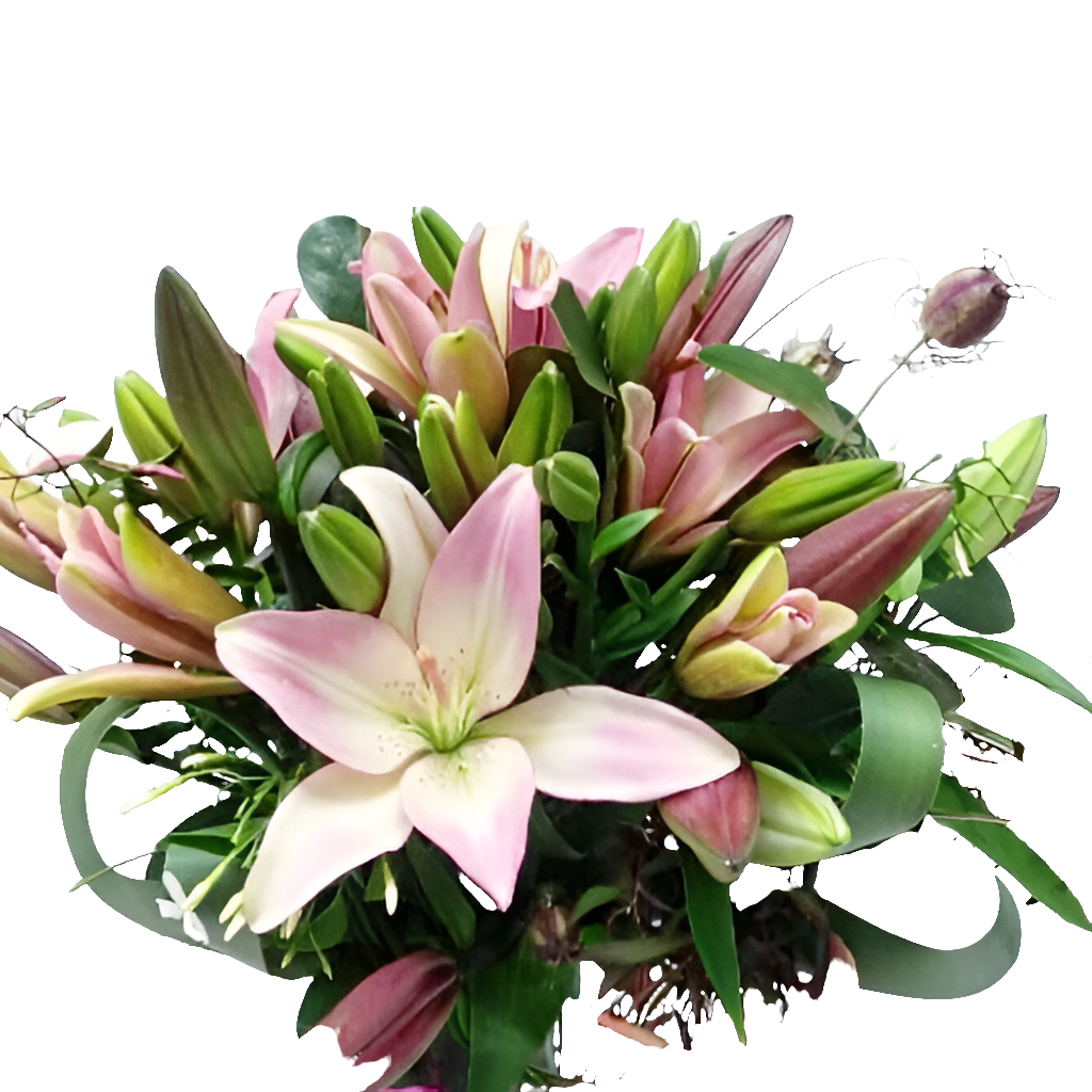 Pink Lilies