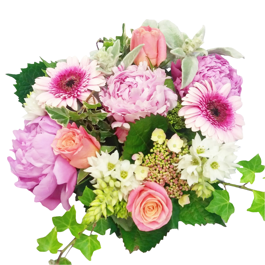 Soft Pinks