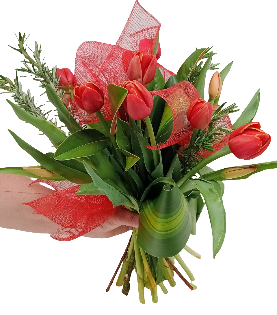 Bunch of Tulips