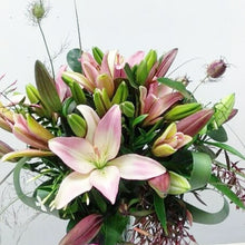 Load image into Gallery viewer, Pink Lilies
