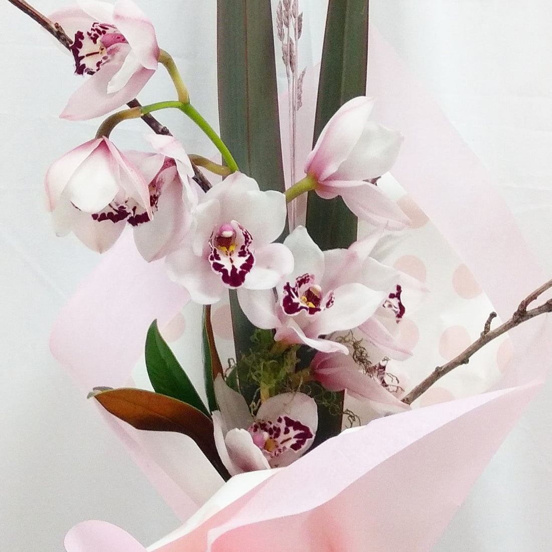 Orchid flower