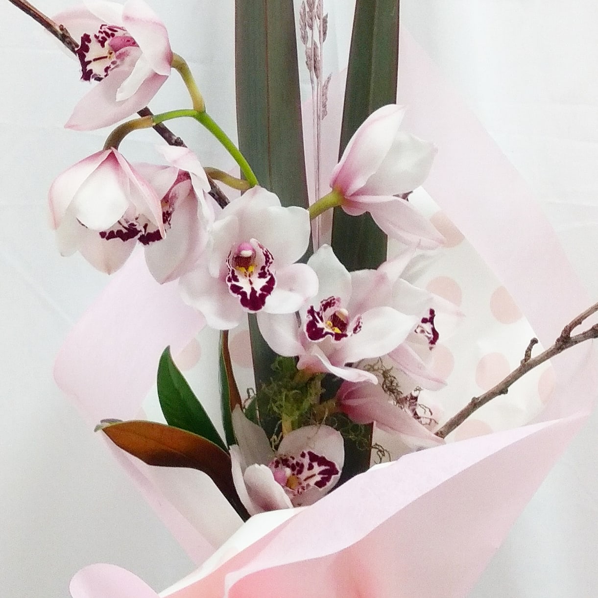 Orchid flower