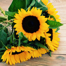Load image into Gallery viewer, Big bunch of sunflowers from Lower Hutt Florist
